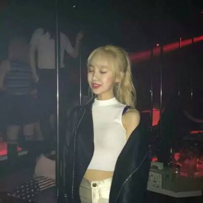 妖怪往哪跑手游私服下载